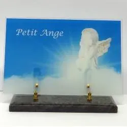 Plaque altuglass numérisée nwebp